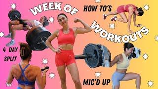 WEEK OF WORKOUTS TO GET FIT | 4 DAY SPLIT | Step by Step | Weights, Circuits, and Walking