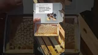 Сотовый мёд в мини рамке 