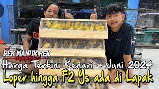 Harga Burung Kenari di Bulan Juni 2024 !!! bahan sampai Gacoran sery Loper sampai F2ys