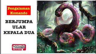 Bertembung Ular Kepala Dua