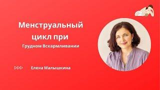 МЕСЯЧНЫЕ при Грудном Вскармливании, когда начинаются | Когда восстанавливается ЦИКЛ при ГВ