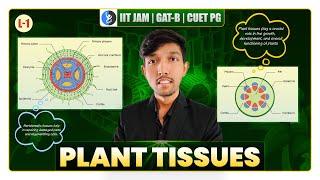 GAT B, CUET PG & IIT JAM Biotechnology 2026: Master Plant Tissues Now!