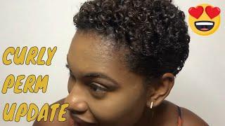 UPDATED DRY CURL/WAVE NOUVEAU ON SHORT TAPERED TWA/ CURLY PERM ON NATURAL HAIR| JAMAICAN YOUTUBER