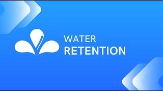 About Water Retention In Our Bodies