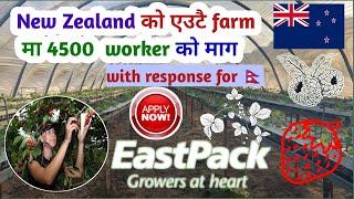 new zealand seasonal work visa 2023 nepal | new zealand work visa from nepal |