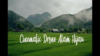 CINEMATIC DRONE PEMANDANGAN SAWAH DAN HUTAN HIJAU