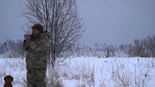 Fowl Field speck