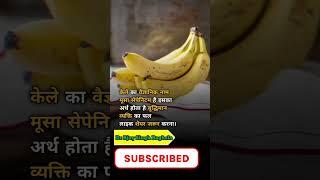 What is the scientific name of Banana? #shorts #drajaysinghbaghela #shortsvideo #viralvideo