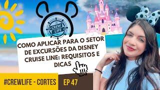 Como Aplicar para o Setor de Excursões da Disney Cruise Line: Requisitos e Dicas ! #disneycruise