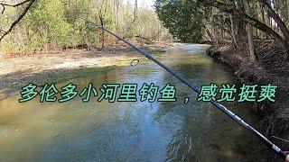 Fishing in a small river of Toronto 多伦多小河里钓鱼，感觉挺爽。