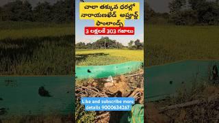 agriculture lands in narayanked | farm lands for sale in hyderabad | agriculture lands in narayanked