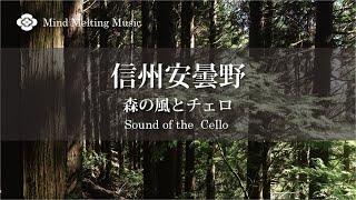 森の風とCello（チェロ）信州安曇野【4K】（自然とBGM/心身浄化・癒し/作業用BGM）