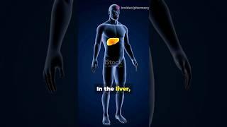 First-pass metabolism #shorts #pharmacology #metabolism #pharmacy #biology #study #studypharma