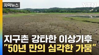 [자막뉴스] 지구촌 강타한 이상기후...우리도 50년 만의 심각한 가뭄 / YTN