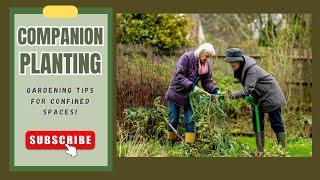 Companion Planting in Confined Areas! #gardening #garden #plants