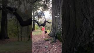 Building Balance: Handstand Practice with Tree Support