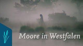 Moore in Westfalen | Dokumentarfilm