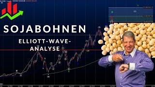 Mega-Chance - Sojabohnen Elliott-Wave-Analyse und 15% Rabatt auf meine Analysen