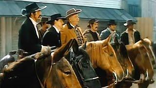 The Over-the-Hill Gang (Western, 1969) Walter Brennan, Edgar Buchanan | Movie