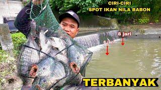 Beruntung Mancing ikan Nila Liar di sungai dapat Babon Terbanyak Ngeri Tarikanya Kail sampai Putus