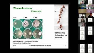 11. Internationale Fachtage Ökoloigische Pflege - Trichoderma Pilze als natürliche Gegenspieler ...