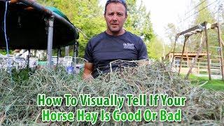 How To Visually Tell If Your Horse Hay Is Good Or Bad