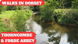 WALKS IN DORSET at THORNCOMBE & FORDE ABBEY (& THE RIVER AXE) (4K)