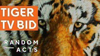 TV art bidding war | Siberian Tiger by Richard Billingham | Visual Art | Random Acts