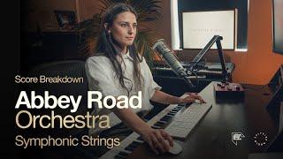 Abbey Road Orchestra Symphonic Strings Homay Score Breakdown