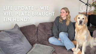 Life Update + Wie viel PLATZ braucht ein HUND?