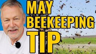 Beekeeping | What To Do When Your Bees Run Out Of Room | GIVEAWAY