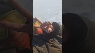 Поехали порыбачить) Это лучший отдых) #рыбалка #корюшка