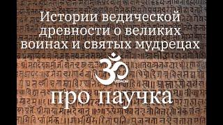 ВЕДИЧЕСКИЕ СКАЗКИ ДЛЯ ВЗРОСЛЫХ И ДЕТЕЙ - ПРО ГОСПОДА РАМУ и ПАУЧКА