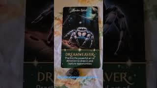 Pick your card Forest Spirits Reading #oraclecards #divineguidance#tarot #mysticalempowerment