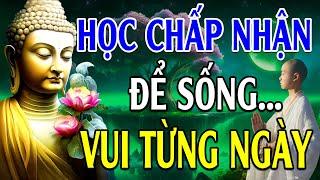 Học Cách Bình Thản Để Sống Vui Từng Ngày - Suy Ngẫm Sự Đời - Lời Phật Dạy