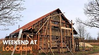 Life In a Remote Log Cabin | Outdoor Jobs and Cooking | Installing Electrical Cabels