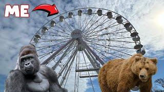 Brookfield Zoo Chicago Tour | New Ferris Wheel