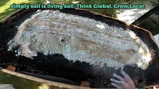 Wie du Erde selber mischt. Living Soil im No-Till. Think Global, grow local!