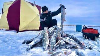 ЛЕСКА ТРЕЩИТ В РУКАХ! Щуки сошли с ума! На ПЕРВЫЙ ЛЁД через всю страну. Рыбалка н ЖЕРЛИЦЫ 2024.