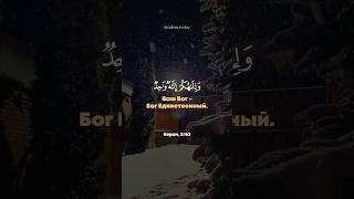 Сура 2. Аль-Бакара (Корова) аят 163 Салим ибн Мубарак #quran #koran #baqarah #allah #коран #бог