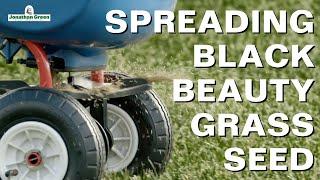 Spreading Black Beauty Grass Seed from Jonathan Green