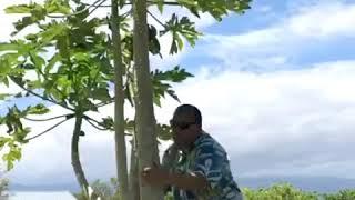 Episode 3 Papaya - Unique Wonders at Hilton Waikoloa Village