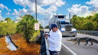 The MOST DANGEROUS Fishing Spot in Florida!!! Tamiami Trail Bass, Snook, Tarpon Fishing