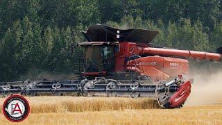 All New Case IH AF 11 Combine Working in the Field