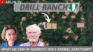 How Two Americans Are Saving Endangered Animals in Nigeria : Pandrillus Drill Ranch