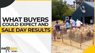 What Buyers Could Expect And Sale Day Results | Fine Wool