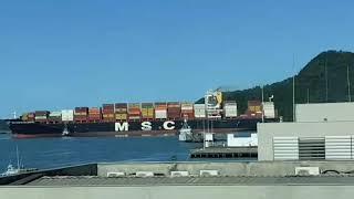 MSC Sofia Celeste - Porto de Itajaí - Portonave