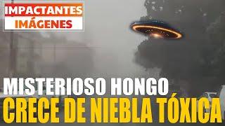 El mundo en ALERTA por Niebla TÓXICA desconocida, Esferas, Drones, OVNIS y Más Bichos