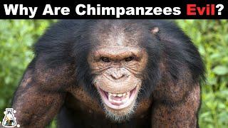The Terrifying Truth About Chimpanzees