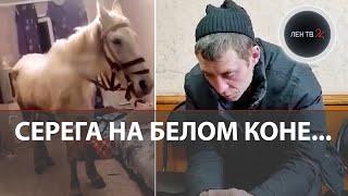 На коне в спальню к жене | Пьяное поздравление Сереги обернулось арестом и потерей квартиры